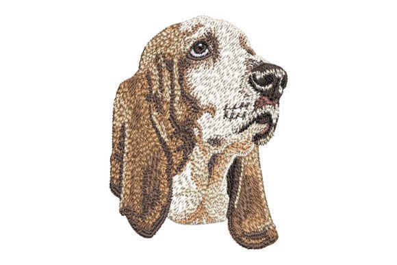 Download Basset Hound - Set Collection