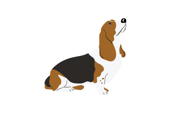 Download Sitting Basset Hound - Set Collection